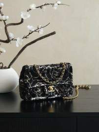 Picture of Chanel Handbags 2 _SKUfw239825254fw